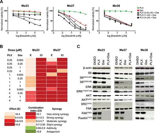 https://cdn.ncbi.nlm.nih.gov/pmc/blobs/e545/4467137/6784ab06a3e6/oncotarget-06-5118-g006.jpg