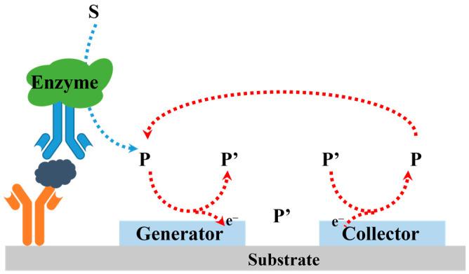 https://cdn.ncbi.nlm.nih.gov/pmc/blobs/e56c/11206384/155c40d26dc5/molecules-29-02796-g004.jpg