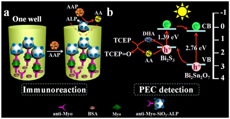 https://cdn.ncbi.nlm.nih.gov/pmc/blobs/e56c/11206384/2b165efbf172/molecules-29-02796-g022.jpg
