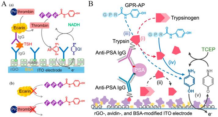 https://cdn.ncbi.nlm.nih.gov/pmc/blobs/e56c/11206384/4195f9bde80f/molecules-29-02796-g027.jpg