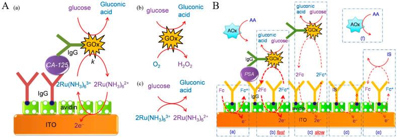 https://cdn.ncbi.nlm.nih.gov/pmc/blobs/e56c/11206384/891fc4af0dcb/molecules-29-02796-g008.jpg