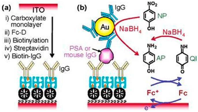 https://cdn.ncbi.nlm.nih.gov/pmc/blobs/e56c/11206384/8f637fd013bd/molecules-29-02796-g018.jpg