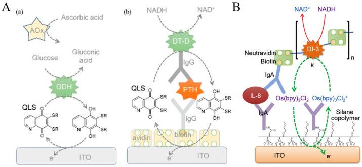 https://cdn.ncbi.nlm.nih.gov/pmc/blobs/e56c/11206384/9e2b63e0d1a1/molecules-29-02796-g013.jpg