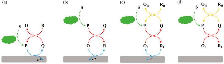 https://cdn.ncbi.nlm.nih.gov/pmc/blobs/e56c/11206384/9e9f6cf10058/molecules-29-02796-g003.jpg