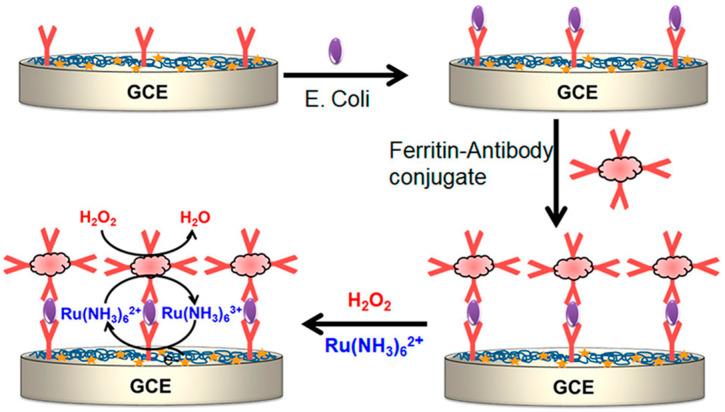 https://cdn.ncbi.nlm.nih.gov/pmc/blobs/e56c/11206384/a5981dd9a14d/molecules-29-02796-g016.jpg