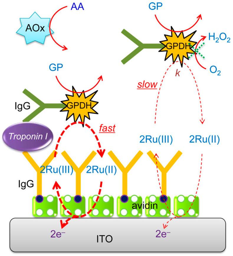 https://cdn.ncbi.nlm.nih.gov/pmc/blobs/e56c/11206384/a76fc2fa97ca/molecules-29-02796-g012.jpg