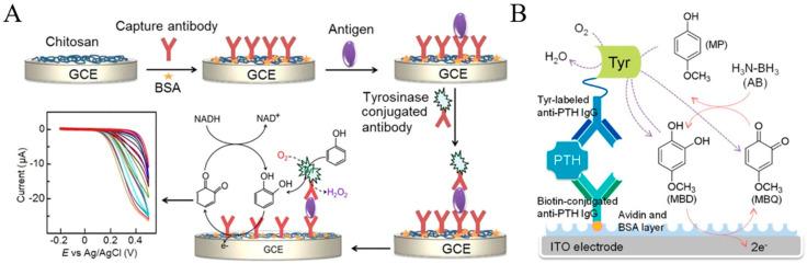 https://cdn.ncbi.nlm.nih.gov/pmc/blobs/e56c/11206384/f8188548a0c3/molecules-29-02796-g010.jpg