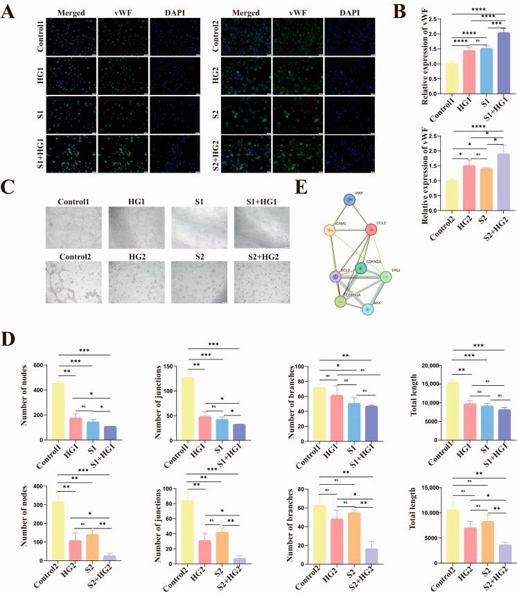 https://cdn.ncbi.nlm.nih.gov/pmc/blobs/e574/10968295/7602ca530d55/biomolecules-14-00329-g004.jpg