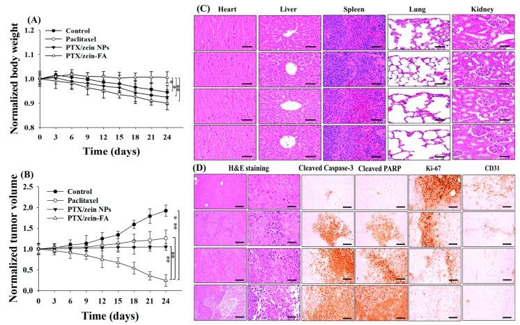 https://cdn.ncbi.nlm.nih.gov/pmc/blobs/e579/6920870/3a5399b30332/pharmaceutics-11-00562-g007.jpg