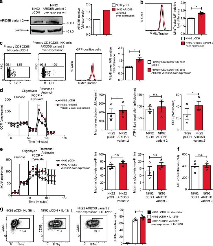 https://cdn.ncbi.nlm.nih.gov/pmc/blobs/e59f/6122973/53e8c8ad3ca4/JEM_20172168_Fig6.jpg