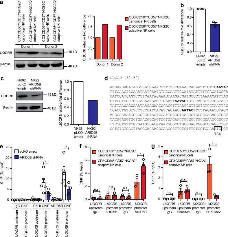 https://cdn.ncbi.nlm.nih.gov/pmc/blobs/e59f/6122973/a53fa146cdc0/JEM_20172168_Fig7.jpg