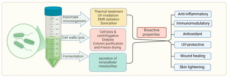 https://cdn.ncbi.nlm.nih.gov/pmc/blobs/e5a8/12025169/a0d08c1dc13f/biomedicines-13-00791-g003.jpg