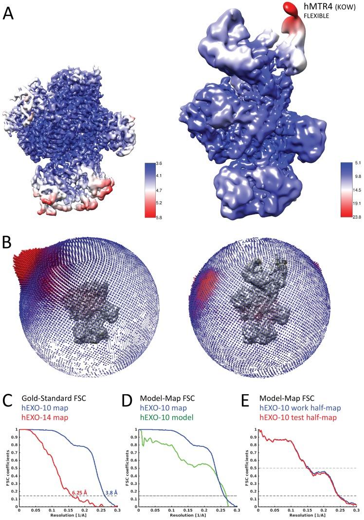 https://cdn.ncbi.nlm.nih.gov/pmc/blobs/e5b7/6072439/e0c74dce7db6/elife-38686-fig2-figsupp3.jpg