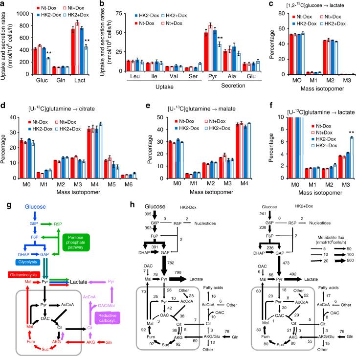 https://cdn.ncbi.nlm.nih.gov/pmc/blobs/e5c5/5792493/58dbb668aecc/41467_2017_2733_Fig4_HTML.jpg
