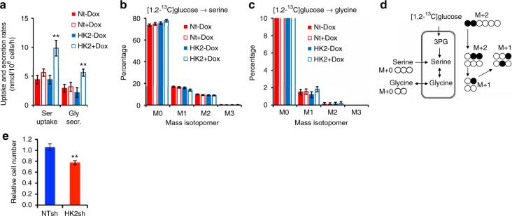 https://cdn.ncbi.nlm.nih.gov/pmc/blobs/e5c5/5792493/af75963b28e0/41467_2017_2733_Fig5_HTML.jpg