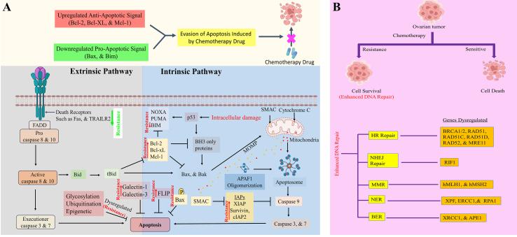 https://cdn.ncbi.nlm.nih.gov/pmc/blobs/e5c6/10905178/9fb2abae5f4e/cdr-7-6.fig.1.jpg