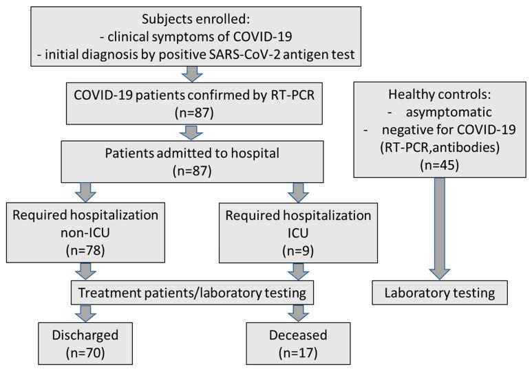 https://cdn.ncbi.nlm.nih.gov/pmc/blobs/e5e4/11641923/47fa48b85185/jcm-13-07471-g001.jpg