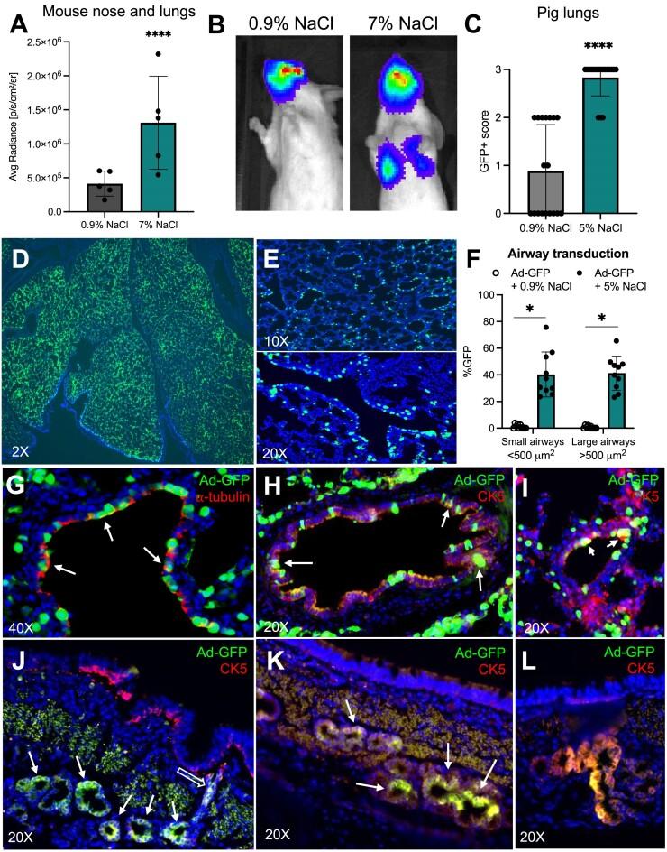 https://cdn.ncbi.nlm.nih.gov/pmc/blobs/e5ff/11381324/0f9766b4d3bc/gkae640fig6.jpg