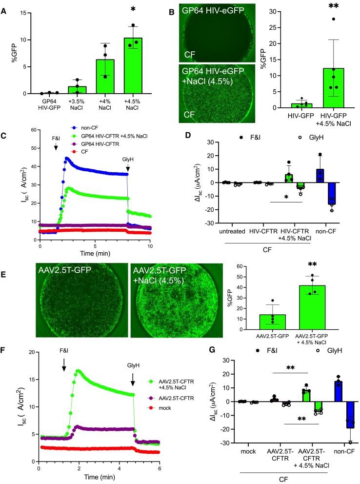 https://cdn.ncbi.nlm.nih.gov/pmc/blobs/e5ff/11381324/3362657337f0/gkae640fig5.jpg
