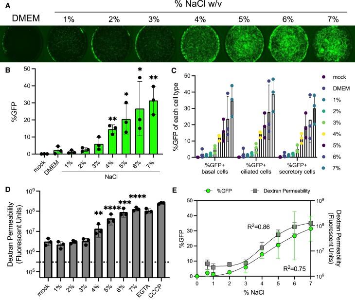 https://cdn.ncbi.nlm.nih.gov/pmc/blobs/e5ff/11381324/dc748b633994/gkae640fig1.jpg