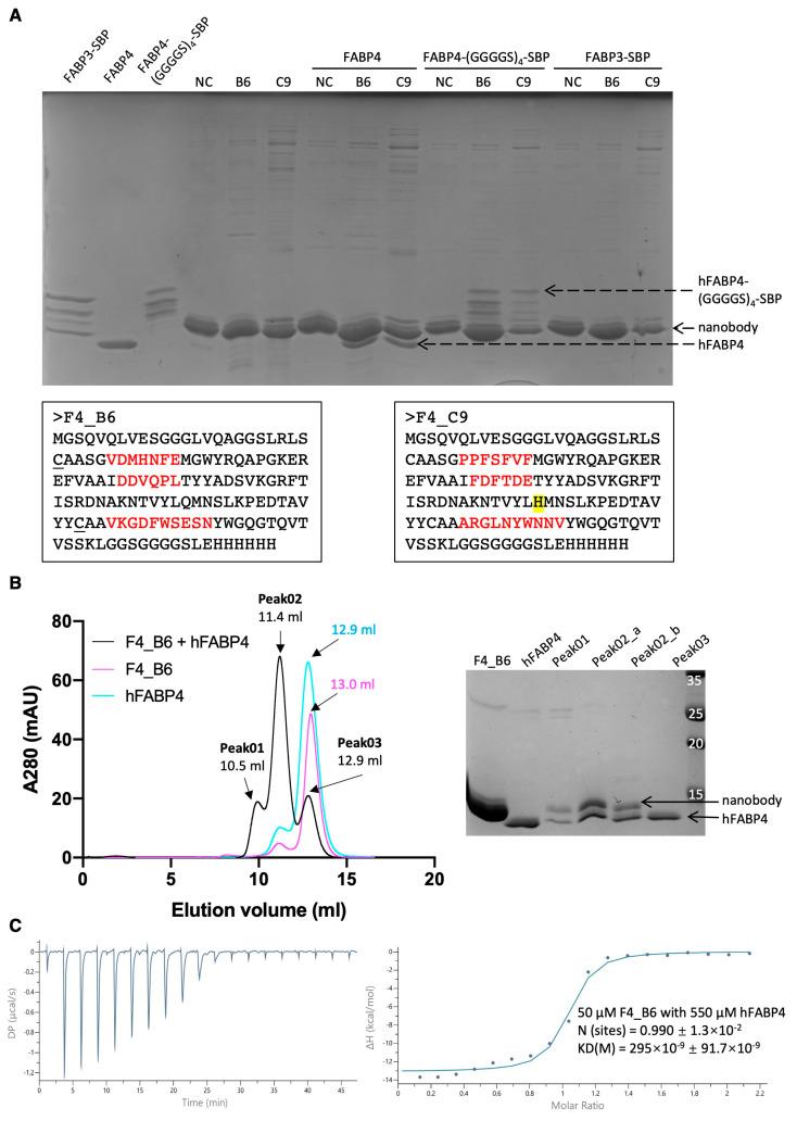 https://cdn.ncbi.nlm.nih.gov/pmc/blobs/e609/12101283/4cbd268dc882/antibodies-14-00039-g006.jpg