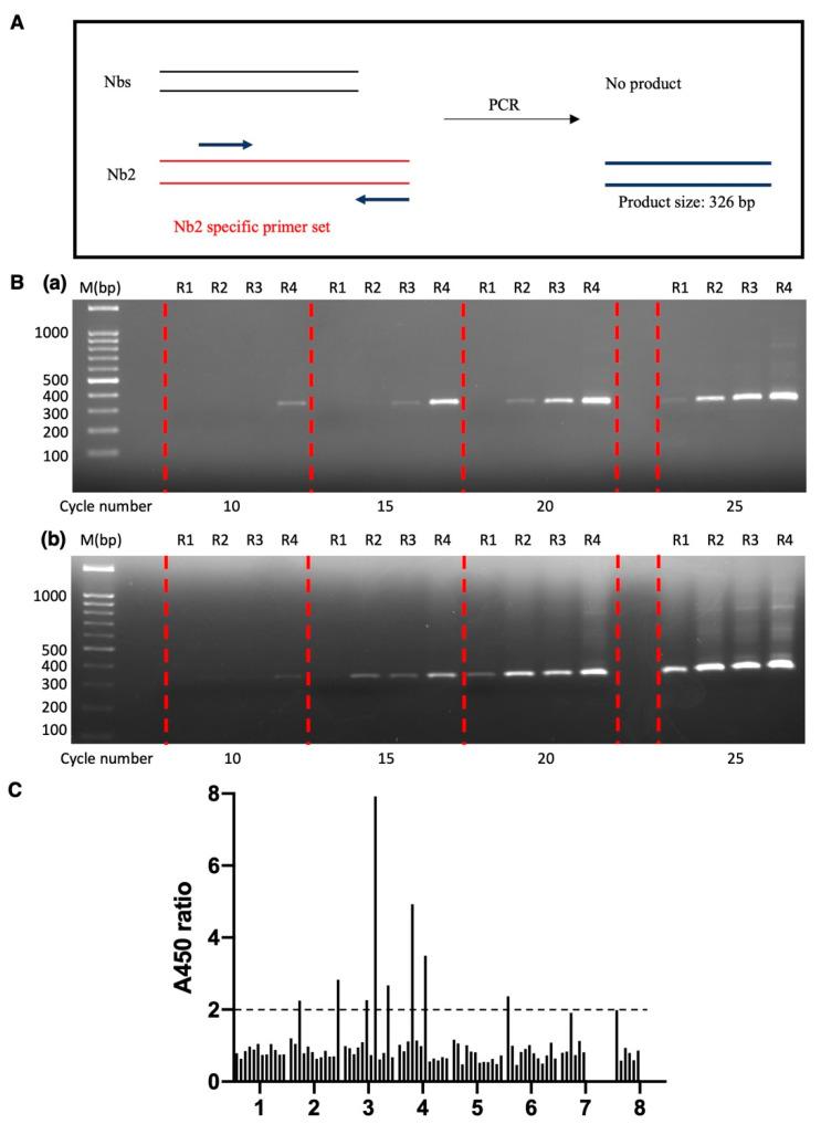 https://cdn.ncbi.nlm.nih.gov/pmc/blobs/e609/12101283/7cbf54cd9ce9/antibodies-14-00039-g004.jpg
