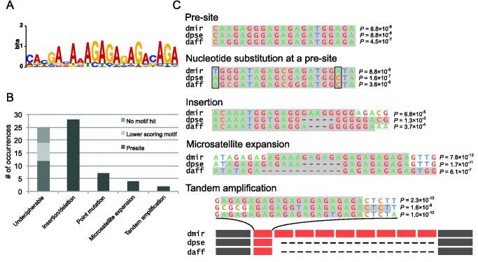 https://cdn.ncbi.nlm.nih.gov/pmc/blobs/e60e/3825665/fa13b27d04b4/pbio.1001711.g002.jpg