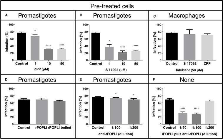 https://cdn.ncbi.nlm.nih.gov/pmc/blobs/e61a/7271538/43bcb55a2b79/fmicb-11-01060-g006.jpg