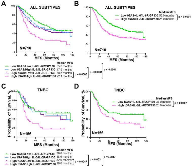 https://cdn.ncbi.nlm.nih.gov/pmc/blobs/e622/11674475/491aff97b2a1/cells-13-02087-g008.jpg