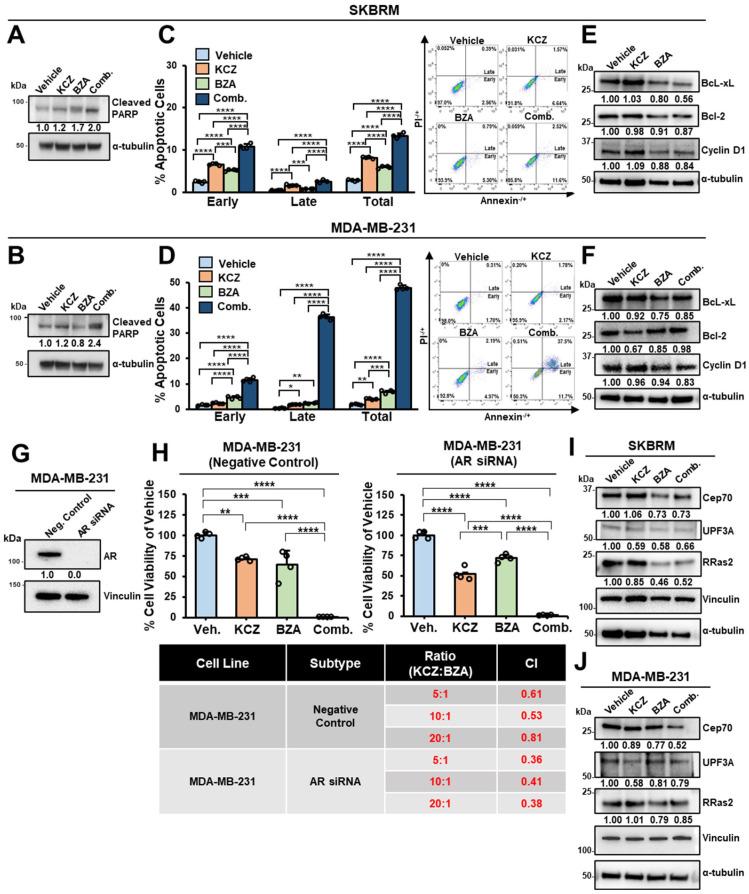 https://cdn.ncbi.nlm.nih.gov/pmc/blobs/e622/11674475/796a503209f2/cells-13-02087-g005.jpg