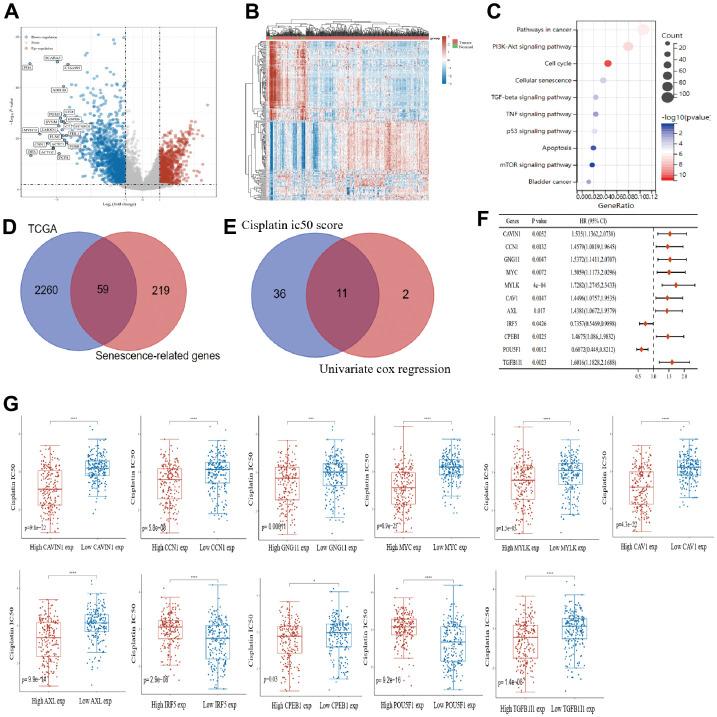 https://cdn.ncbi.nlm.nih.gov/pmc/blobs/e626/10457043/7f3609492776/aging-15-204863-g001.jpg