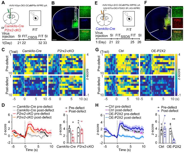 https://cdn.ncbi.nlm.nih.gov/pmc/blobs/e628/9131261/4f834516d35f/thnov12p3703g004.jpg