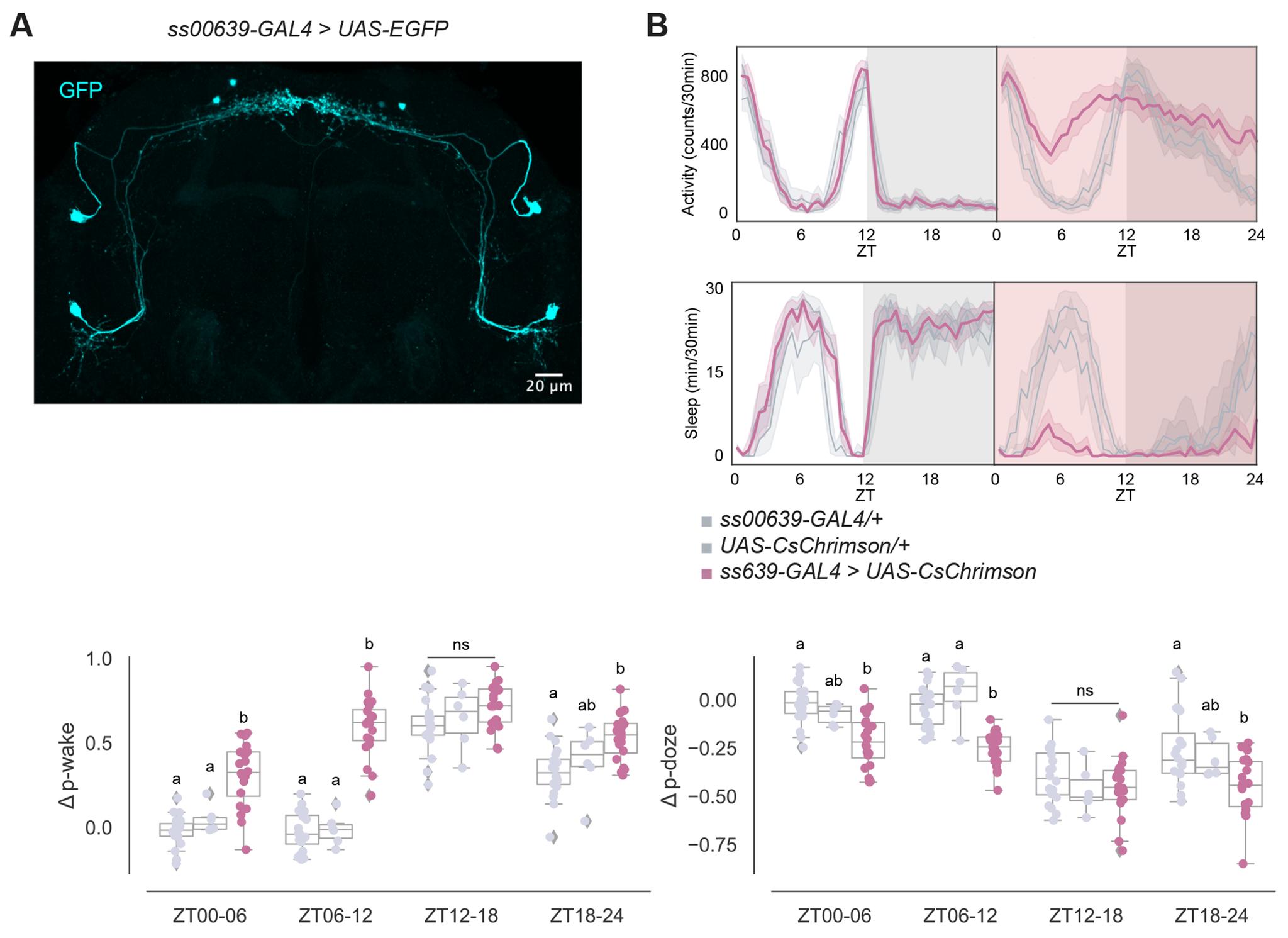 https://cdn.ncbi.nlm.nih.gov/pmc/blobs/e638/11404089/e43618b27478/nihms-2013477-f0002.jpg