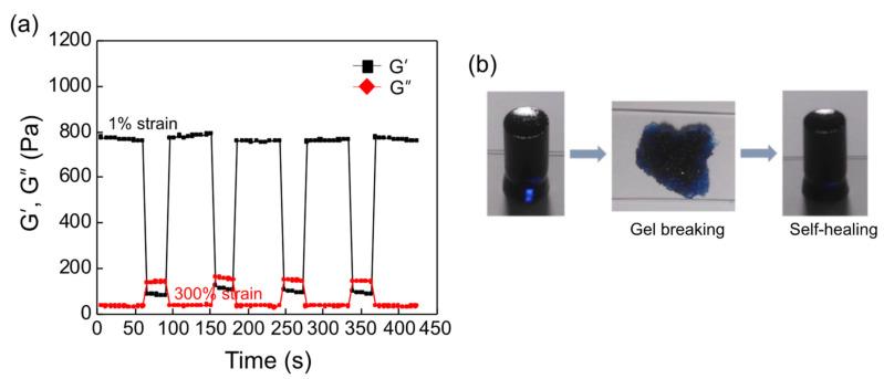 https://cdn.ncbi.nlm.nih.gov/pmc/blobs/e63b/8471923/33d70ae198d5/biomedicines-09-01224-g004.jpg