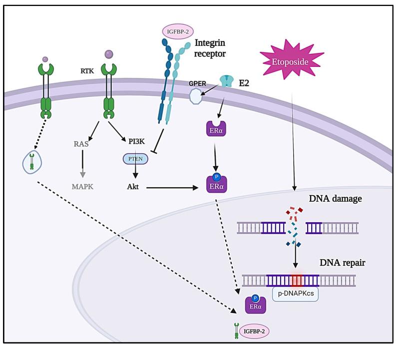https://cdn.ncbi.nlm.nih.gov/pmc/blobs/e63f/11171178/8267b79bfd1d/cancers-16-02113-g007.jpg