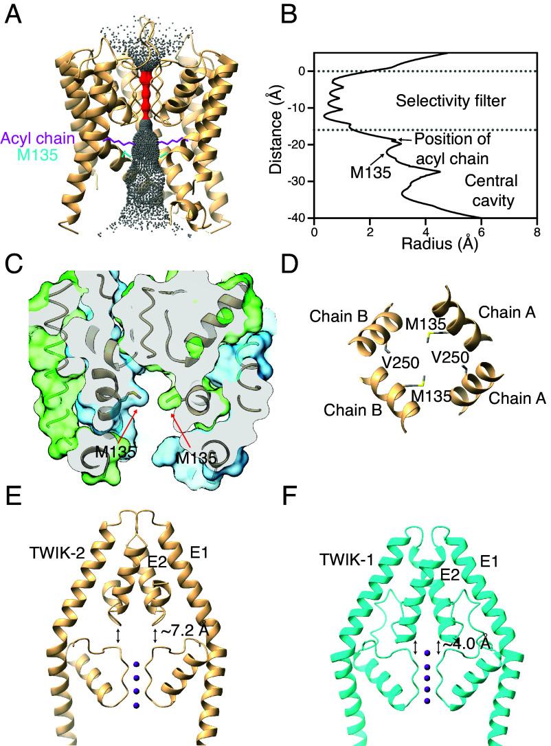 https://cdn.ncbi.nlm.nih.gov/pmc/blobs/e641/12088453/9ed08a669bad/pnas.2425709122fig03.jpg