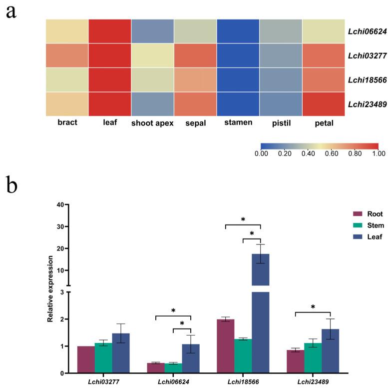 https://cdn.ncbi.nlm.nih.gov/pmc/blobs/e653/10297974/395bce8f3368/genes-14-01125-g004.jpg