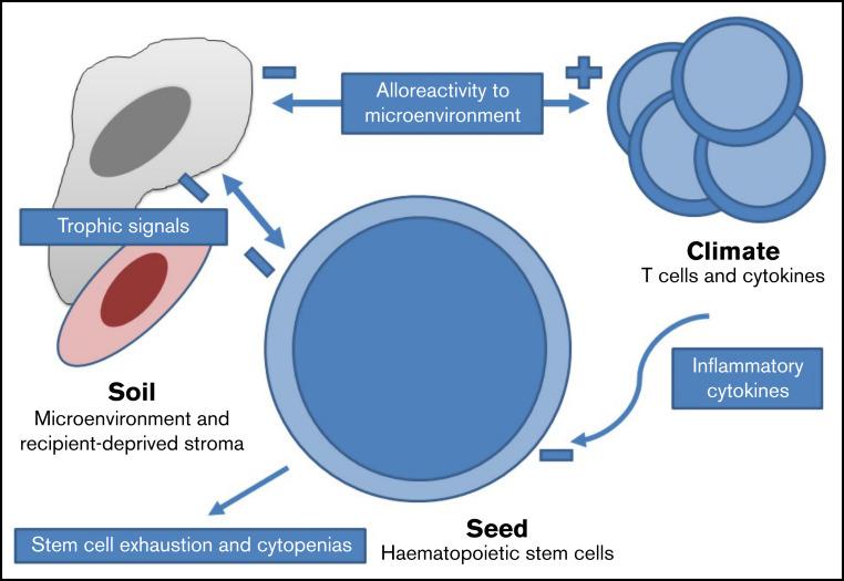 https://cdn.ncbi.nlm.nih.gov/pmc/blobs/e656/8941468/eab0d056762d/advancesADV2021004537f2.jpg