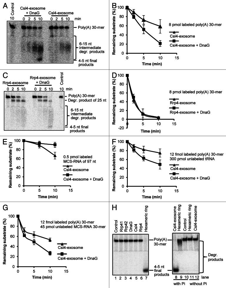https://cdn.ncbi.nlm.nih.gov/pmc/blobs/e658/3672285/765041c048d0/rna-10-415-g2.jpg