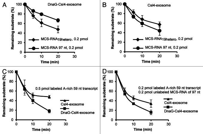 https://cdn.ncbi.nlm.nih.gov/pmc/blobs/e658/3672285/d574bf3ac85d/rna-10-415-g4.jpg
