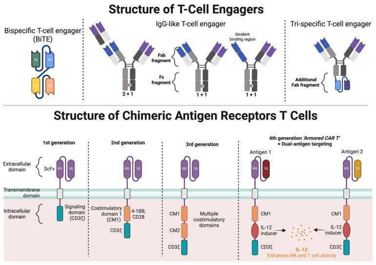 https://cdn.ncbi.nlm.nih.gov/pmc/blobs/e666/12346717/17f352bf9740/cancers-17-02579-g001.jpg