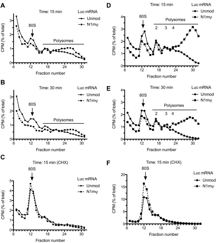https://cdn.ncbi.nlm.nih.gov/pmc/blobs/e669/5449617/52ff950ae32f/gkx135fig7.jpg