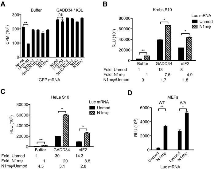 https://cdn.ncbi.nlm.nih.gov/pmc/blobs/e669/5449617/6a85715d0c2b/gkx135fig6.jpg