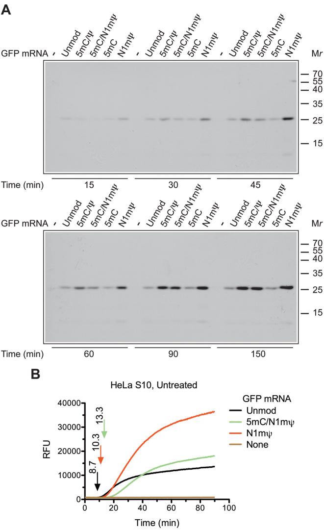 https://cdn.ncbi.nlm.nih.gov/pmc/blobs/e669/5449617/e9bed5126779/gkx135fig4.jpg