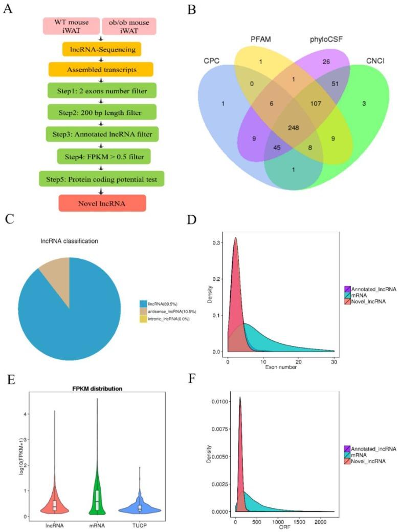 https://cdn.ncbi.nlm.nih.gov/pmc/blobs/e66e/6562744/de4af0931ea9/cells-08-00477-g001.jpg