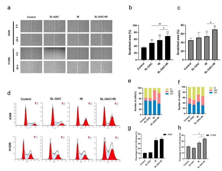 https://cdn.ncbi.nlm.nih.gov/pmc/blobs/e68f/11990552/7b7a7a7ebab3/nutrients-17-01262-g004.jpg