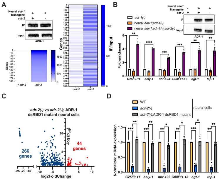 https://cdn.ncbi.nlm.nih.gov/pmc/blobs/e699/12362252/2690852de78e/gkaf785fig1.jpg