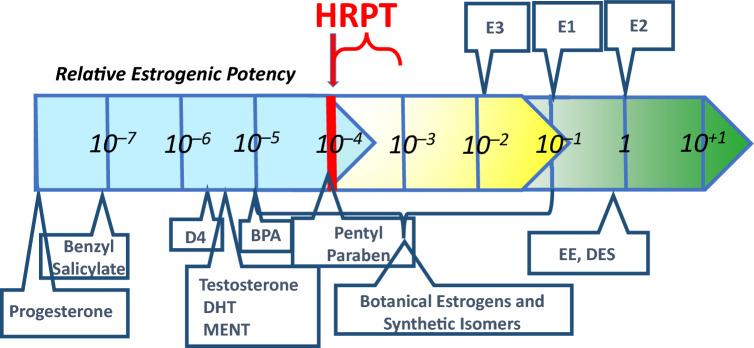 https://cdn.ncbi.nlm.nih.gov/pmc/blobs/e69c/11106131/71575cfdd683/204_2024_3723_Fig1_HTML.jpg