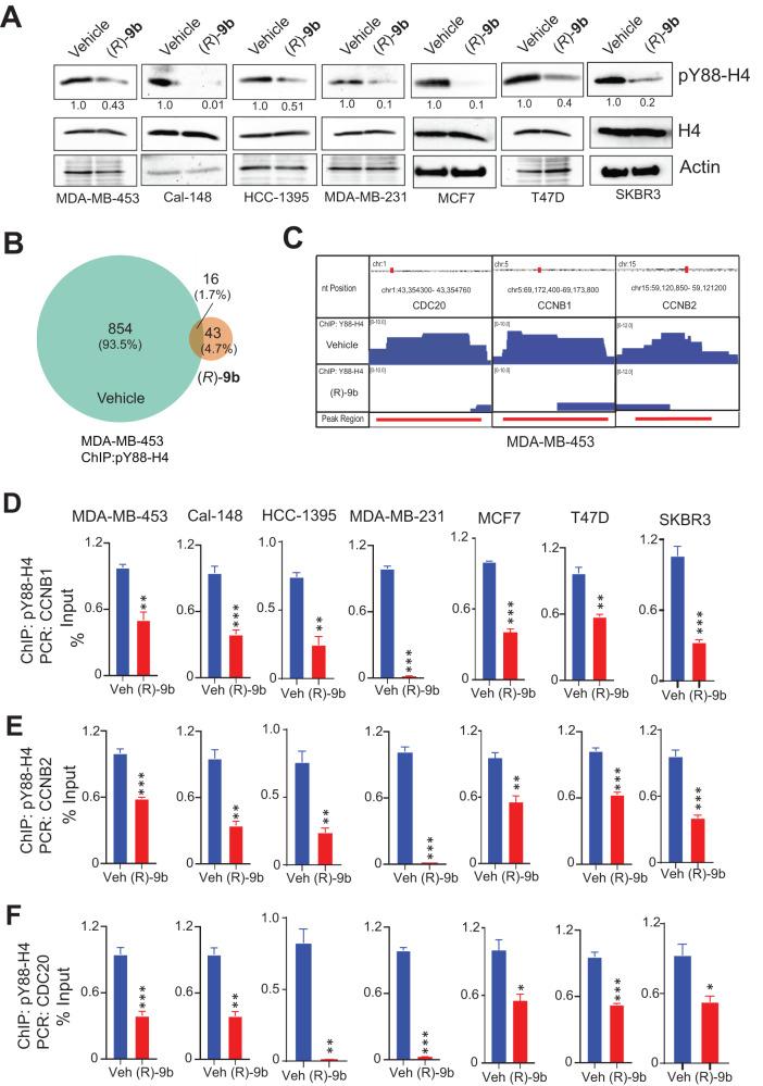 https://cdn.ncbi.nlm.nih.gov/pmc/blobs/e69f/10348910/6353bef692d5/41388_2023_2747_Fig4_HTML.jpg
