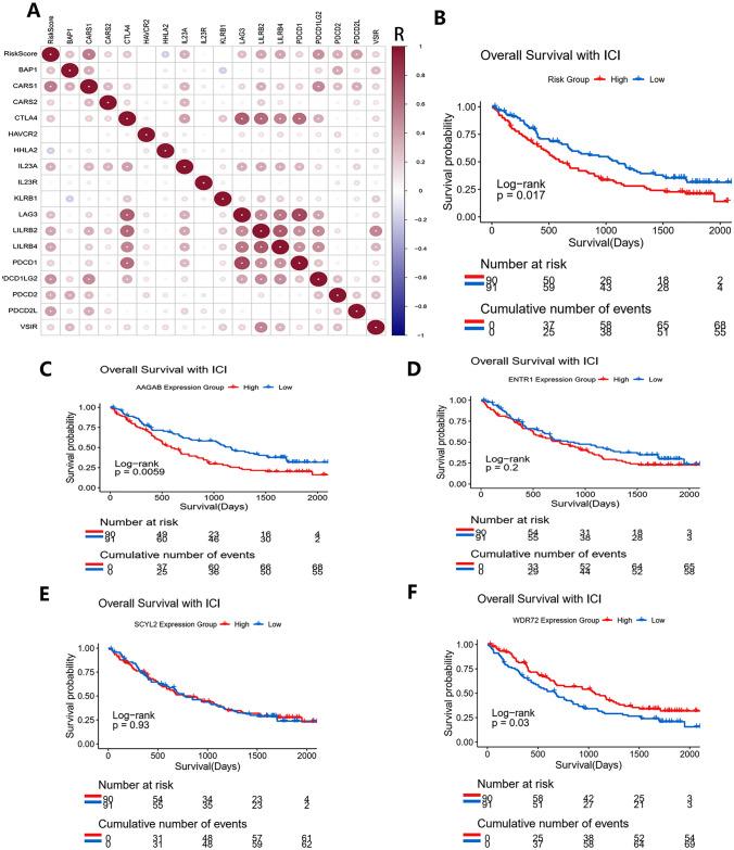 https://cdn.ncbi.nlm.nih.gov/pmc/blobs/e6ab/10645642/2338c2476039/432_2023_5280_Fig12_HTML.jpg